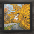 A framed square art print depicting a winding road through a forest of bright yellow autumn trees, shown against a dark wood background.
