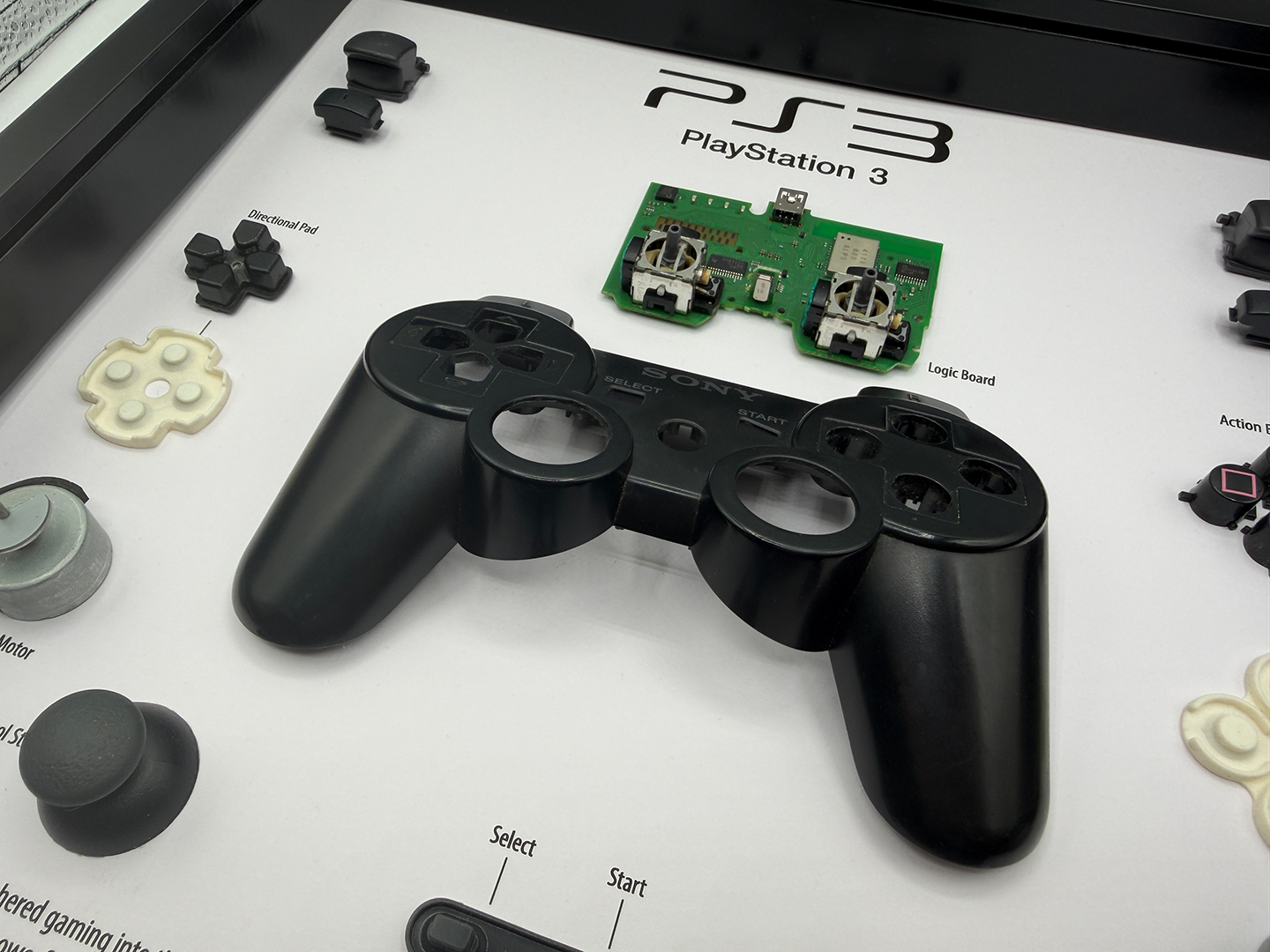 Disassembled PlayStation 3 controller on a white surface with labeled parts.